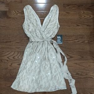 Express gold sequin dress